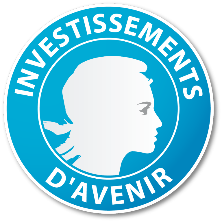 Logo Investissements d'avenir