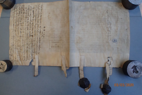 iiris_img/private/image/1J136-DIEBOLD CHEVALIER DE RATHSAMHAUSEN-verso.png